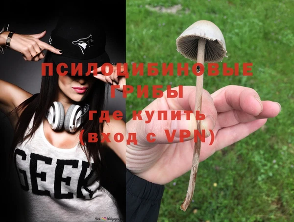 дурь Володарск